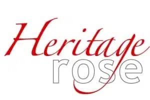 Heritage-Rose-2019-screen-300x200
